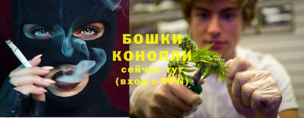 СК Богородицк