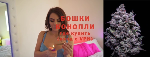 шишки Бронницы