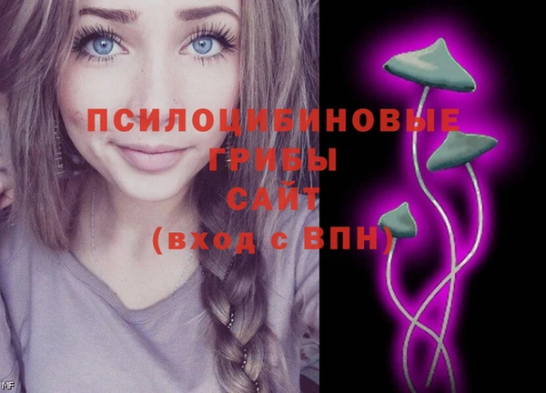 ECSTASY Бугульма